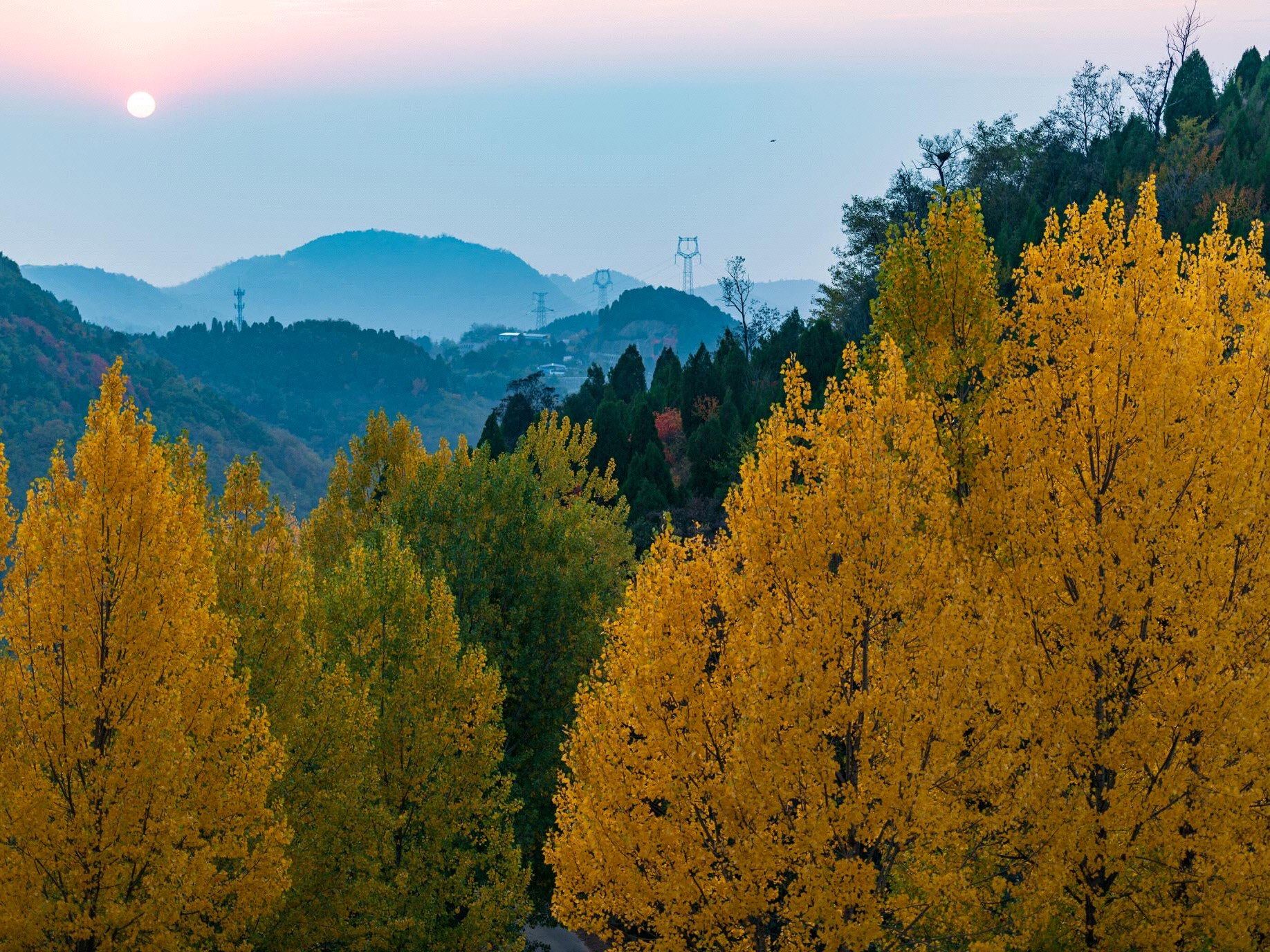 Lishan National Forest Park -Autumn Lishan National Forest Park -Autumn